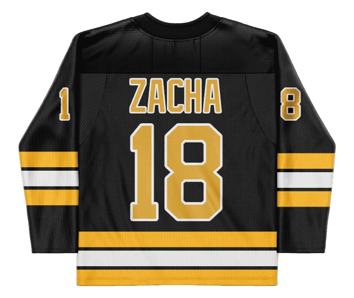 Pavel Zacha