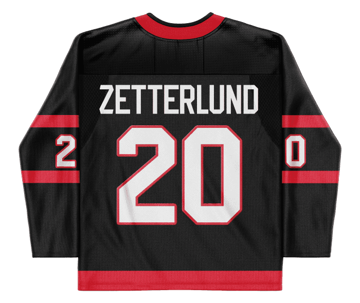 Fabian Zetterlund