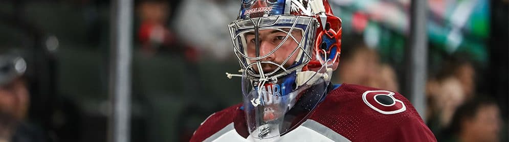 Daily Fantasy Hockey Notebook 📘 — 12/21/18