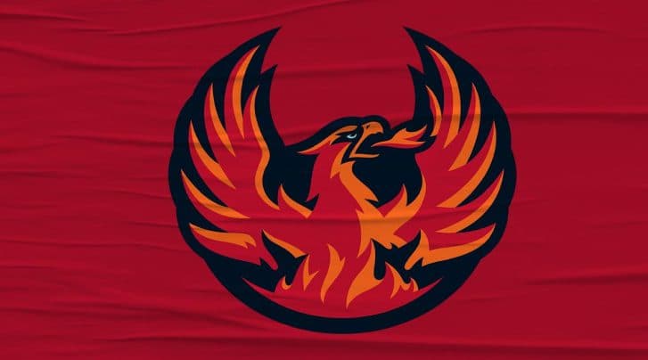 Seattle Kraken introduce AHL expansion affiliate Coachella Valley Firebirds