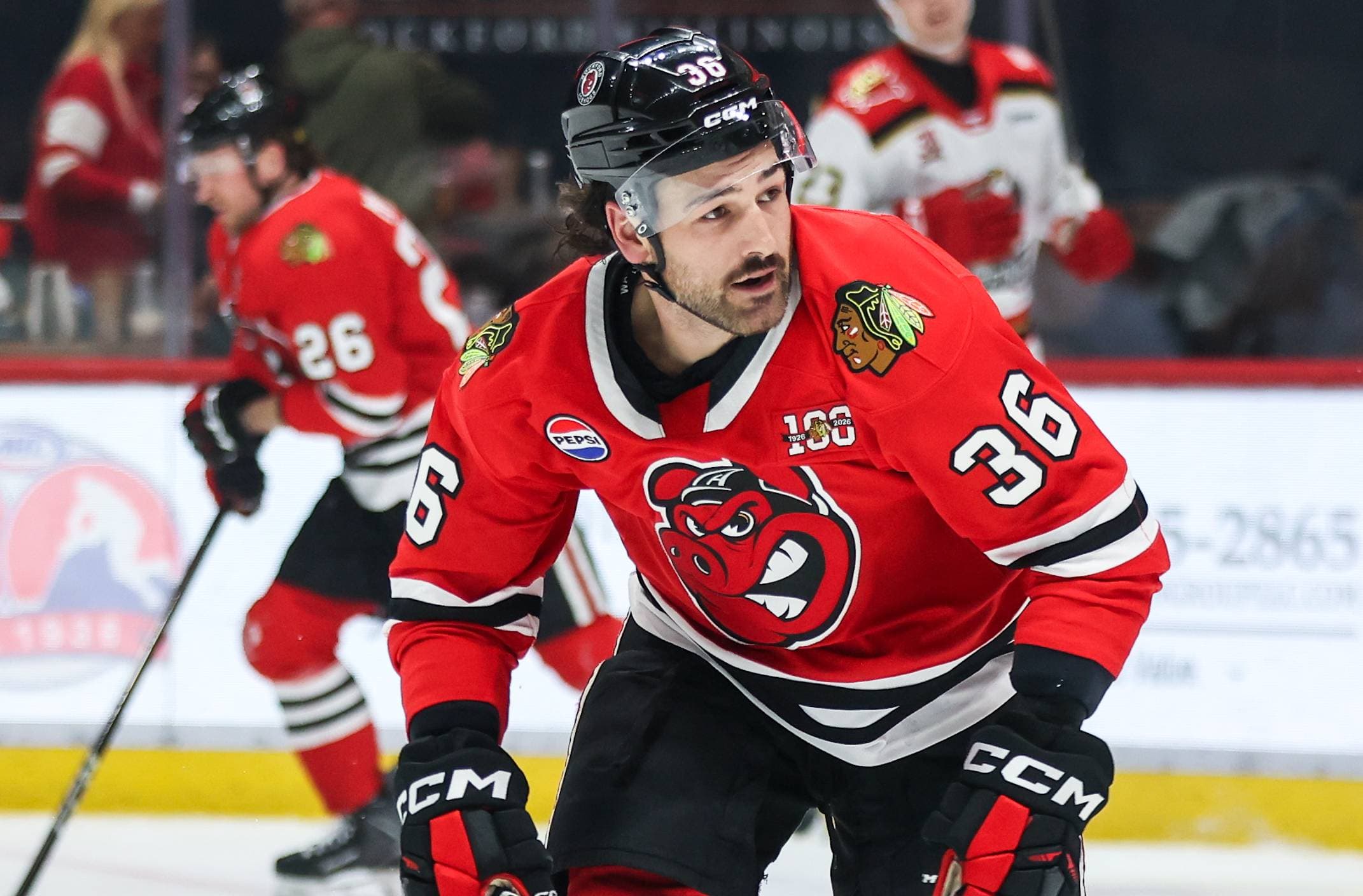 Rockford IceHogs forward Dillon Boucher