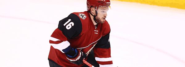 Domi-Max(1)