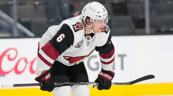 Offseason Review: The Arizona Coyotes Blow It All Up