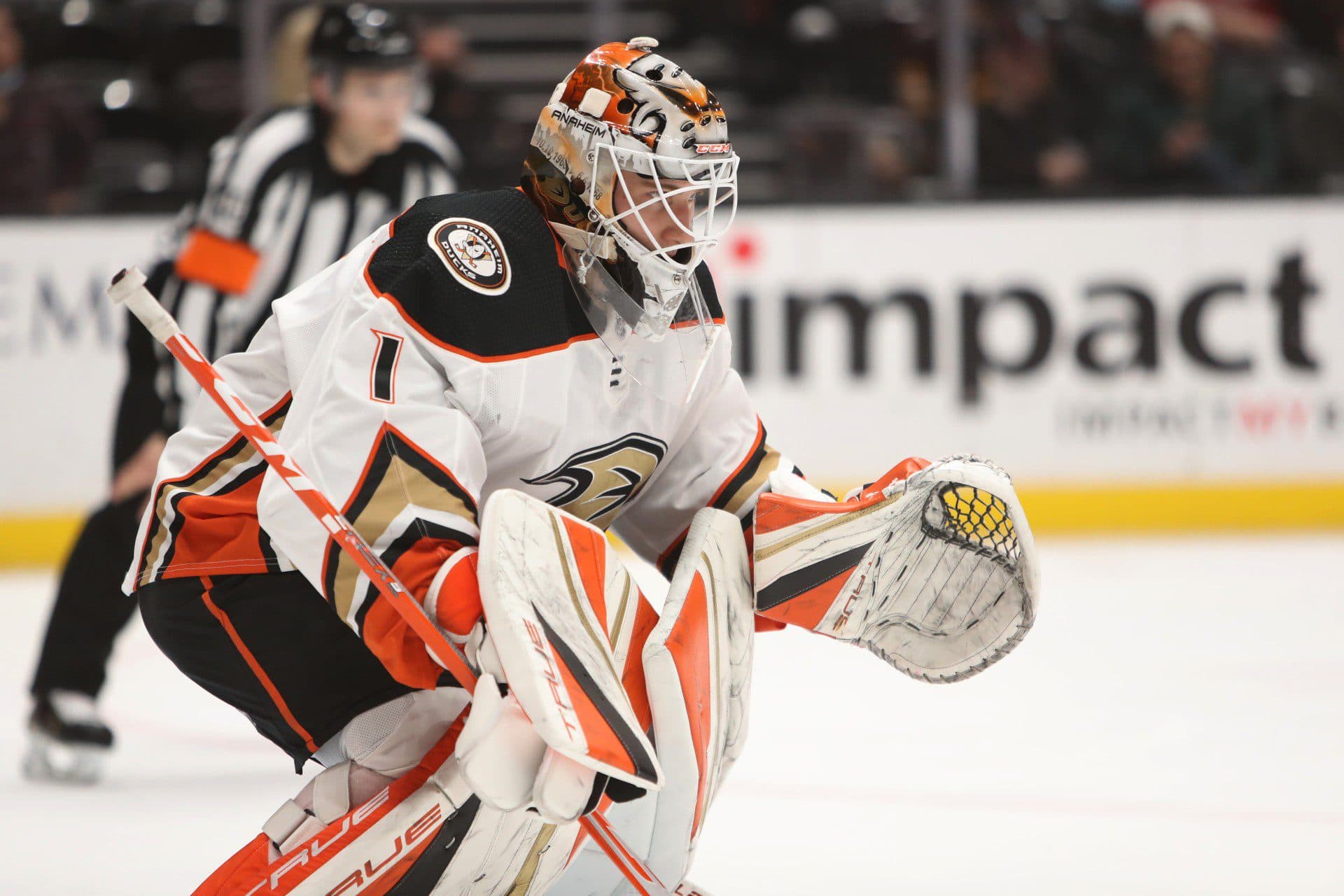 Watch: AHL’s Lukas Dostal Scores Goalie Goal