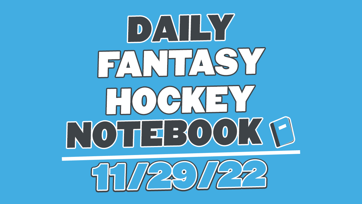 Daily Fantasy Hockey Notebook – 11/29/22