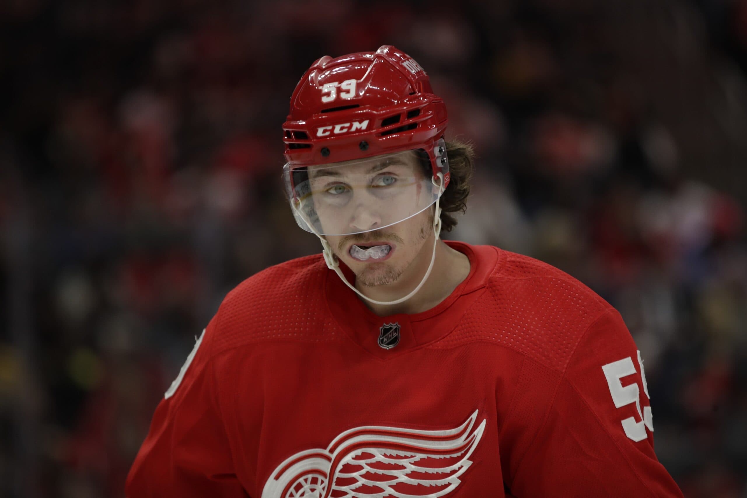 Red Wings’ Tyler Bertuzzi set to return from injury Tuesday against Jets