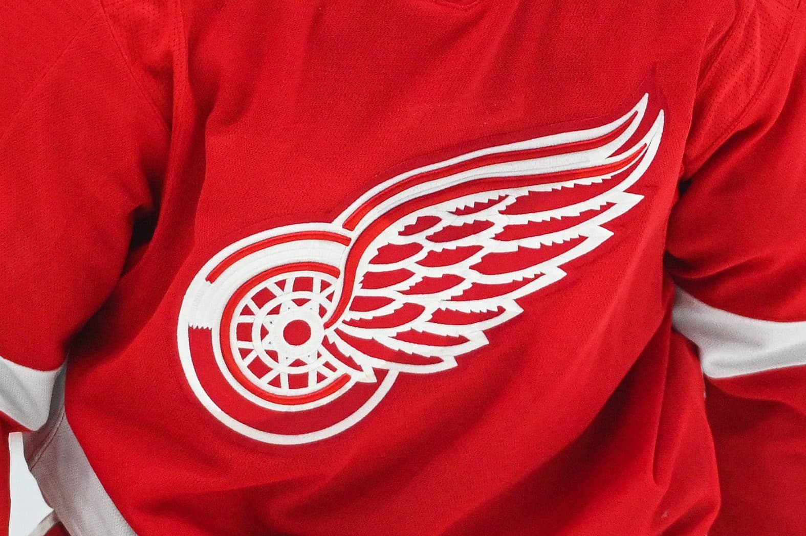 Detroit Red Wings logo