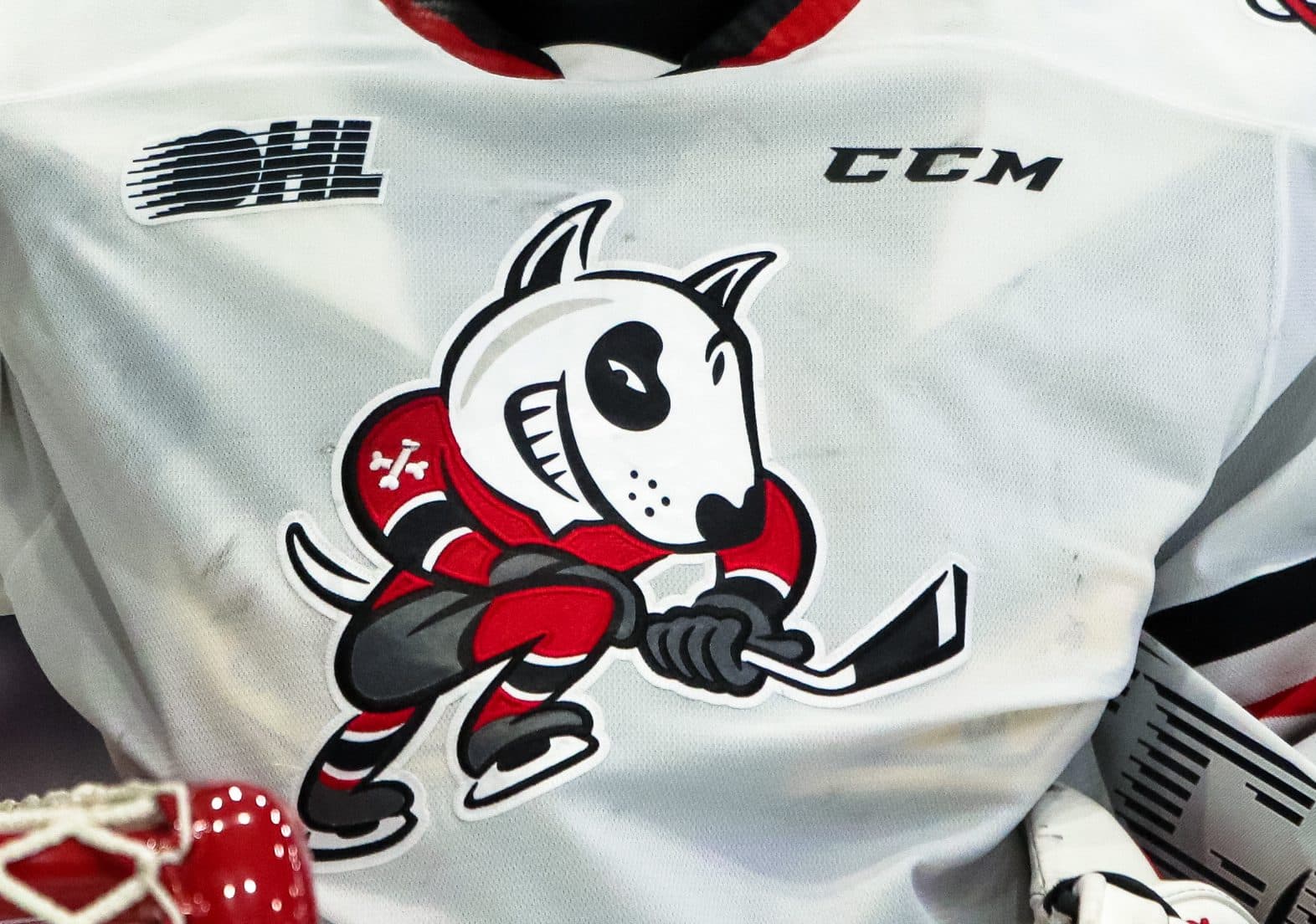 Niagara IceDogs receive sanctions for bullying, harassment and maltreatment; players banned from OHL
