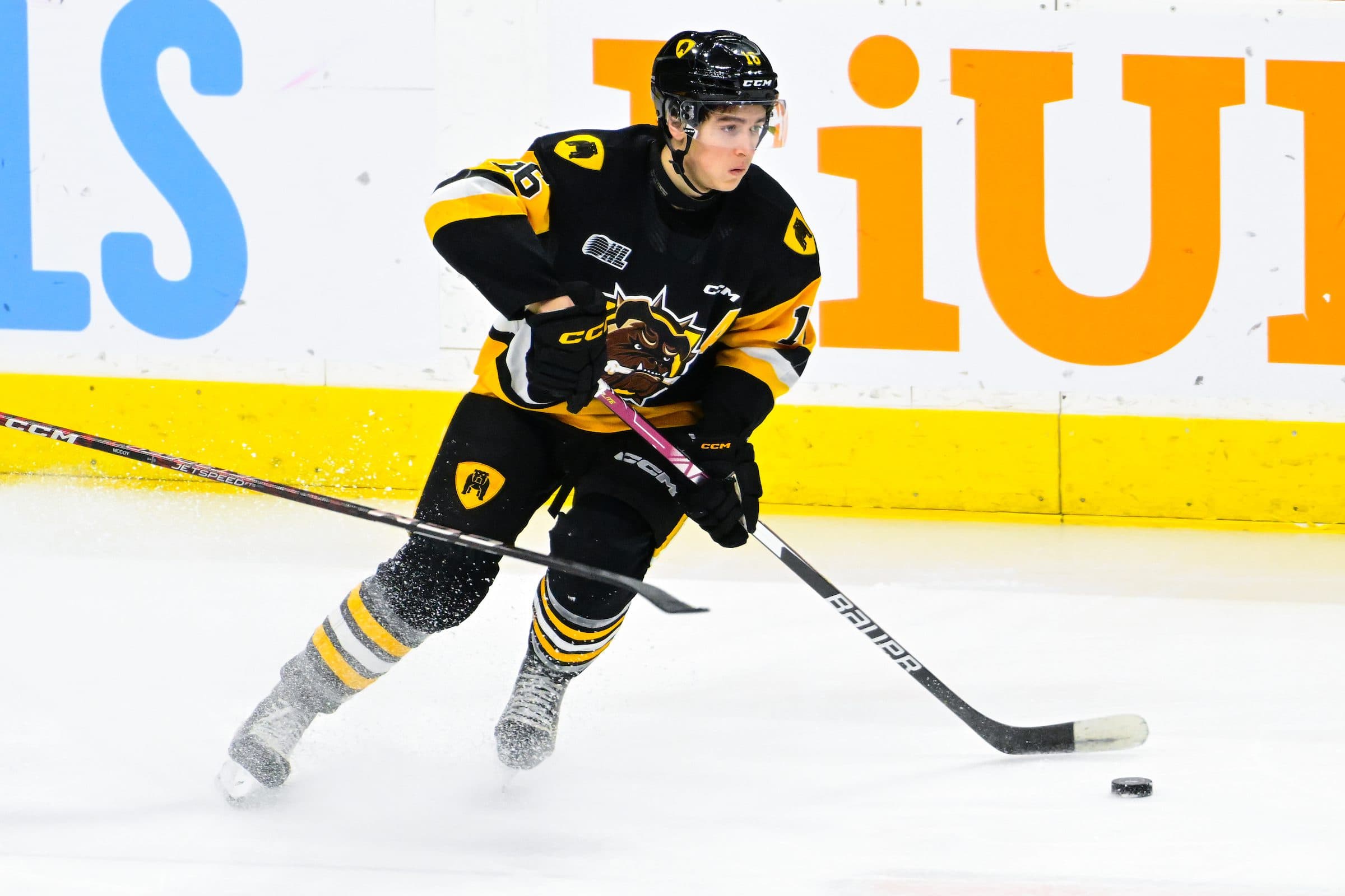 Nick Lardis (Brandon Taylor/OHL Images)