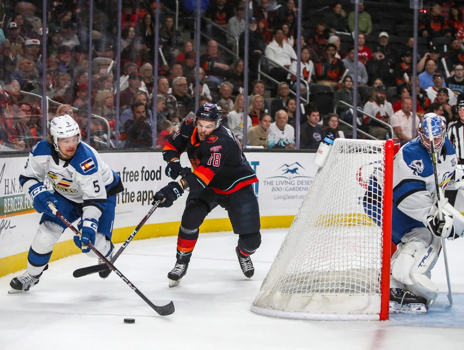 Colorado Avalanche re-sign Wyatt Aamodt to one-year extension