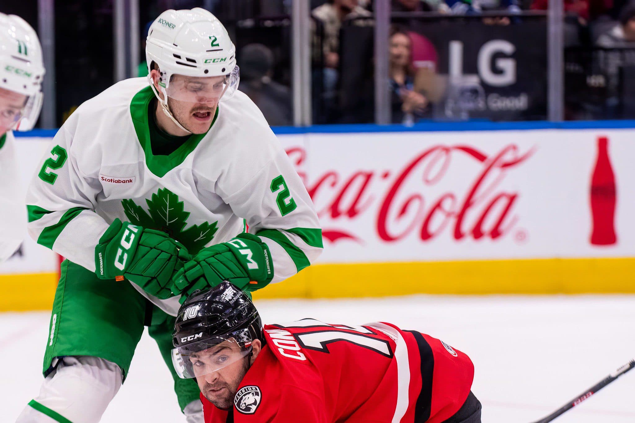 Noel Hoefenmayer (Steven Ellis/Daily Faceoff)