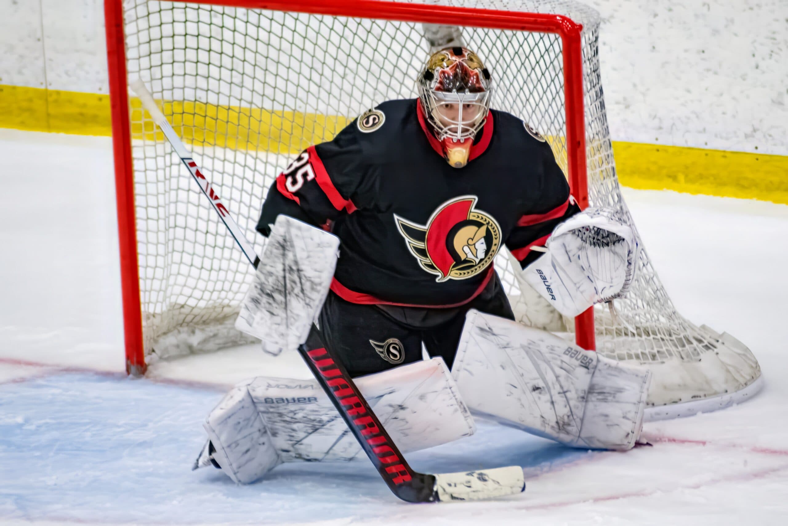 Senators sign goalie Leevi Meriläinen to one-year contract extension