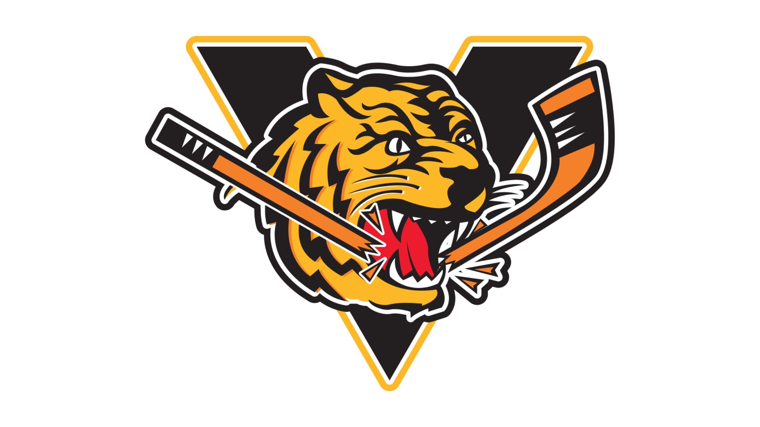 Former QMJHLers plead guilty to sexual assault