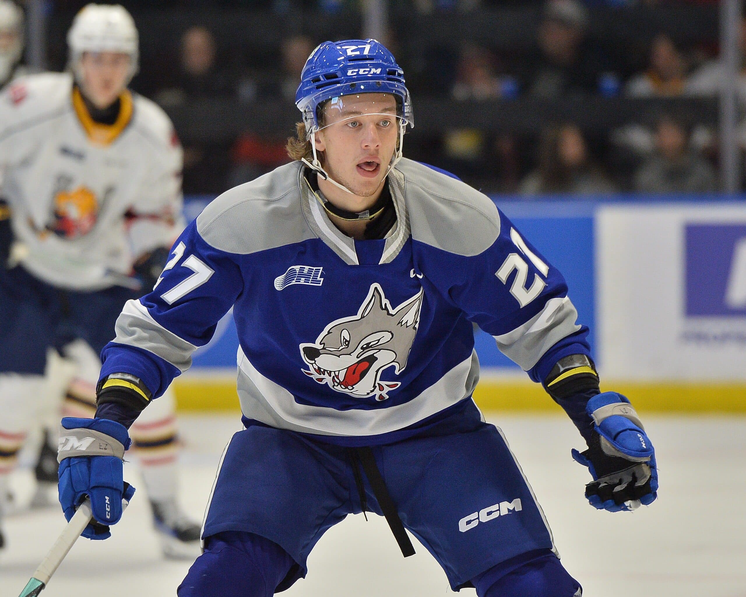 NHL Prospect Roundup: San Jose Sharks’ Quentin Musty is a menace