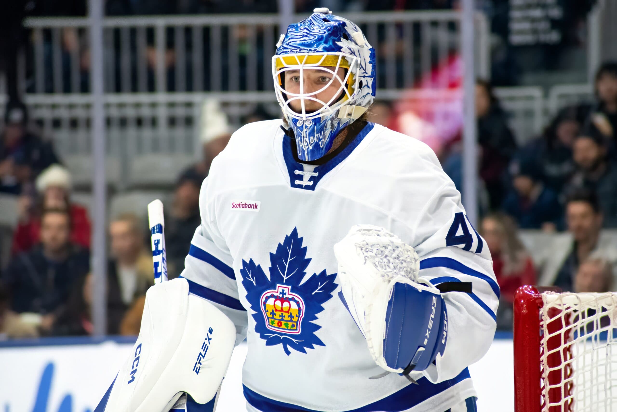 Toronto Maple Leafs call up goaltender Dennis Hildeby from AHL
