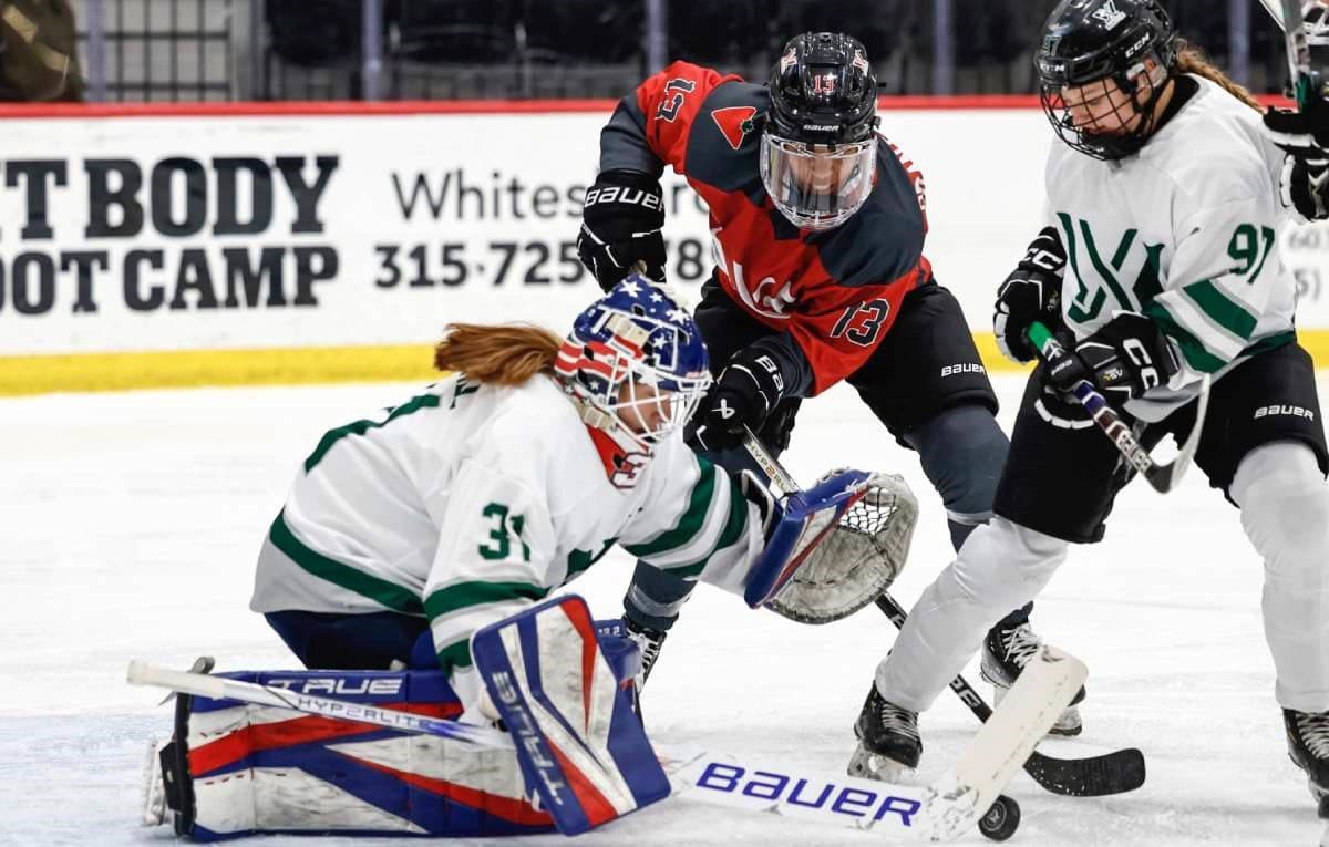 Forecasting the 2024 PWHL season: Most exciting and disappointing teams, MVP predictions and more