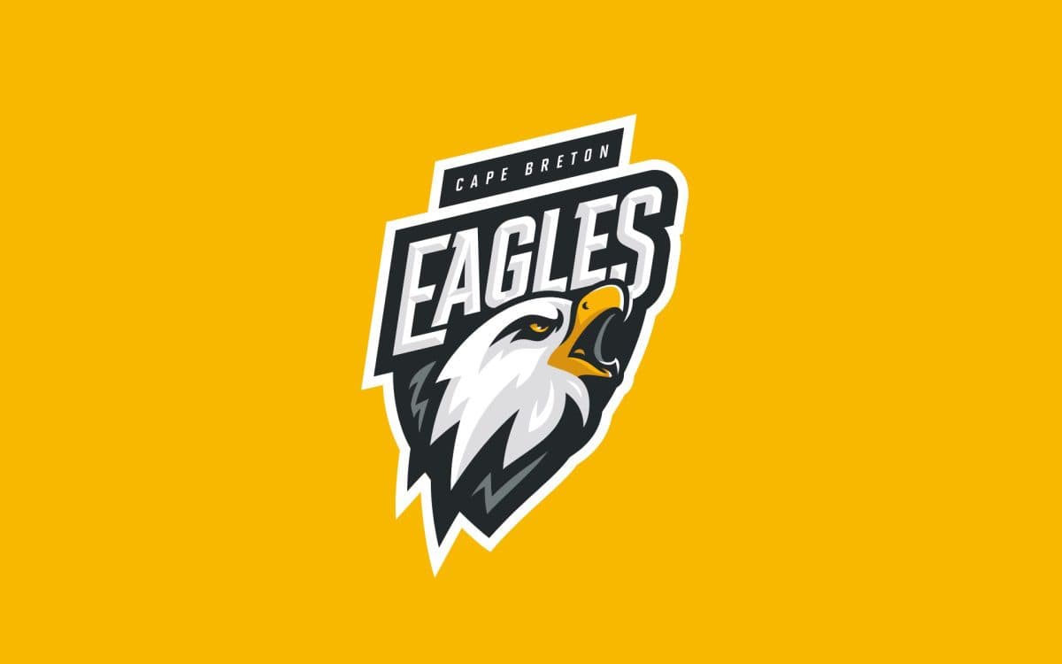 Three Cape Breton Eagles players involved in car accident