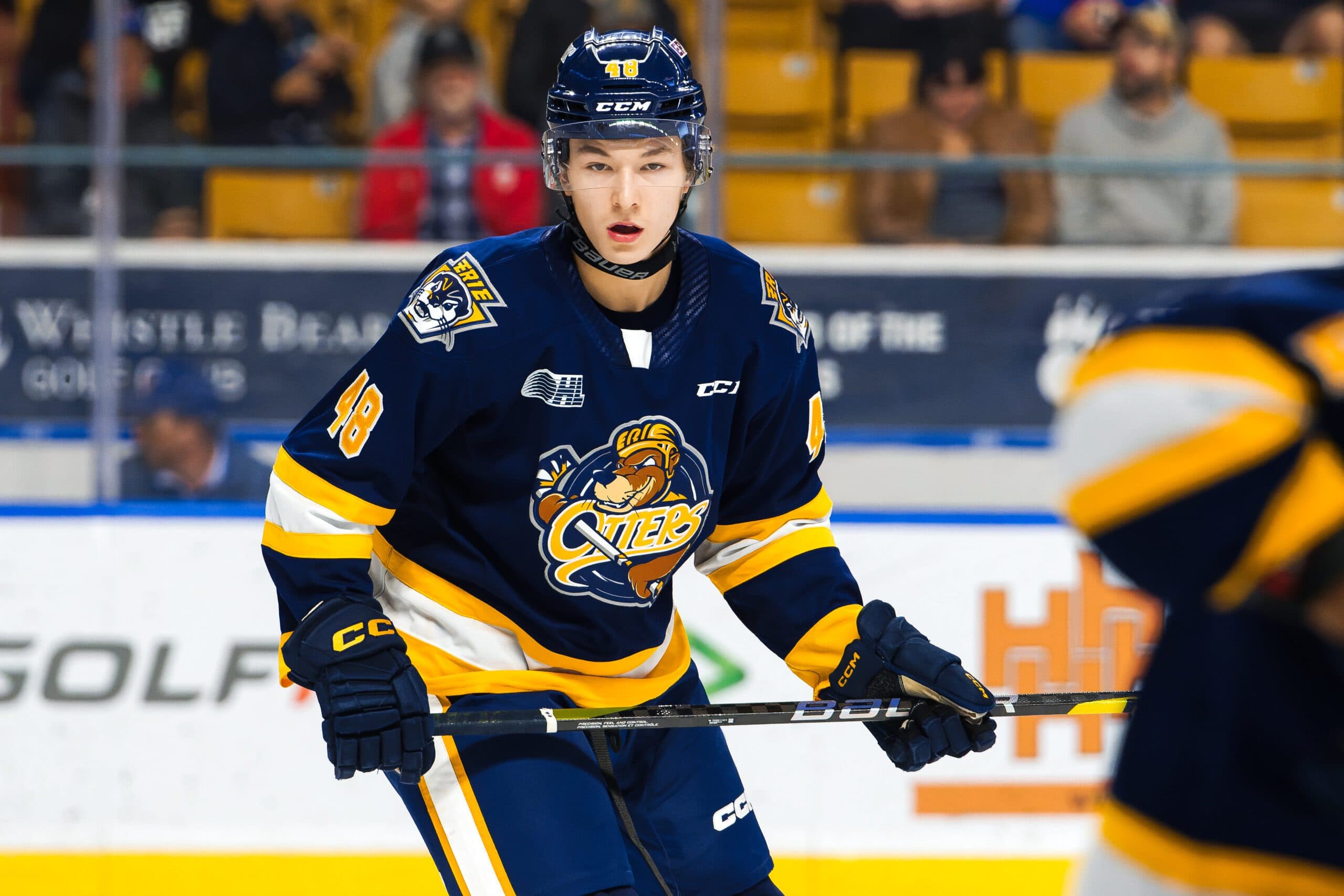 Matthew Schaefer (Libby Hammond/CHL Images)