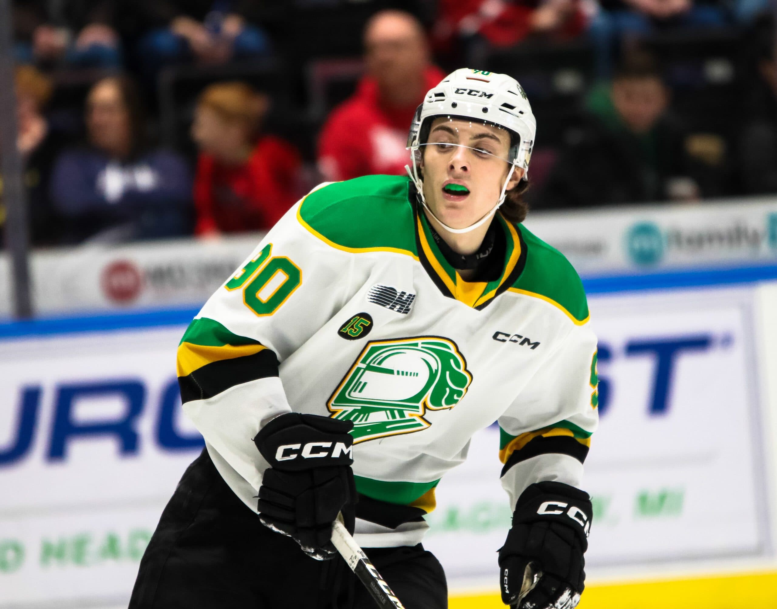 OHL suspends Landon Sim five games for use of marginalizing language