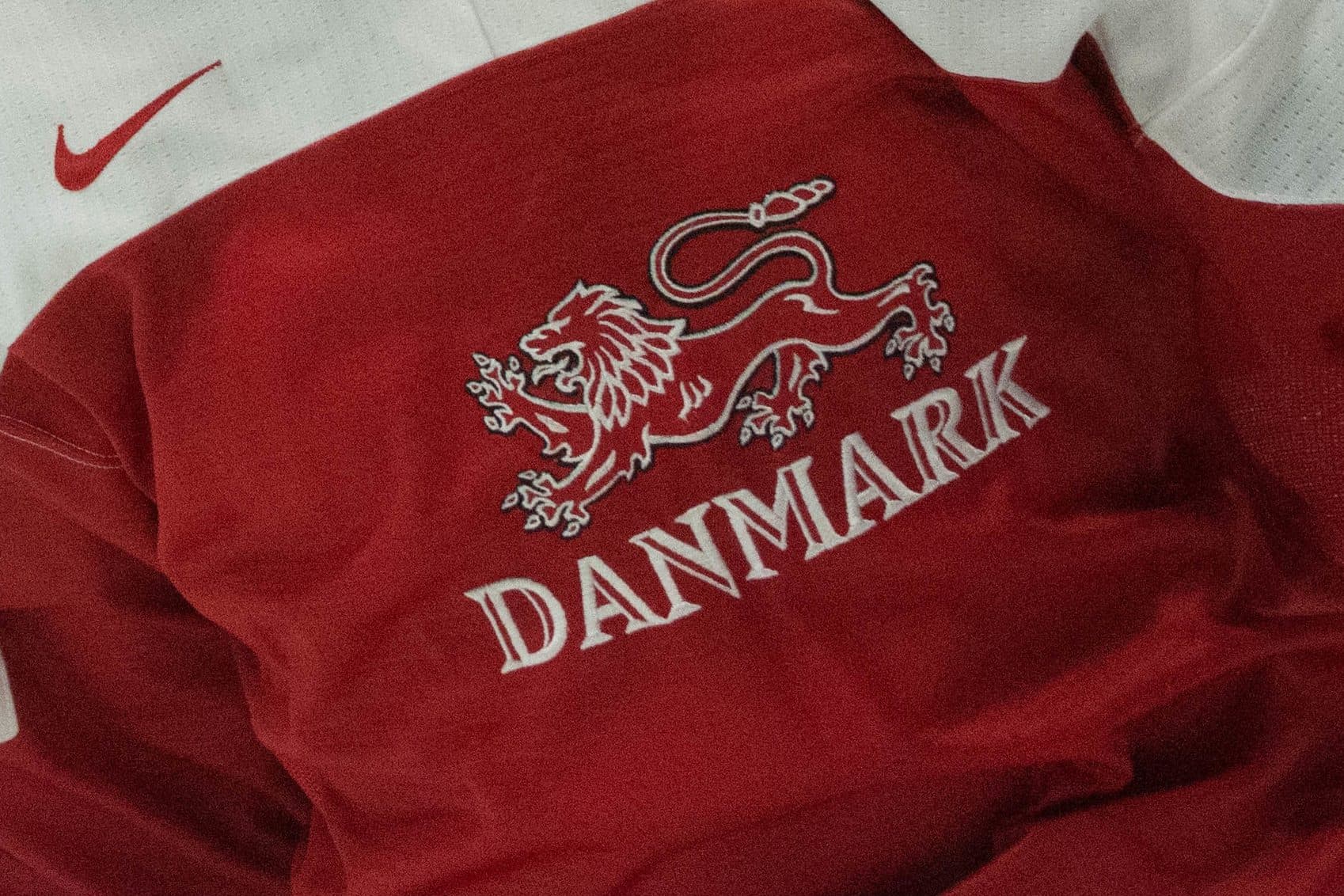 Denmark Logo Jersey