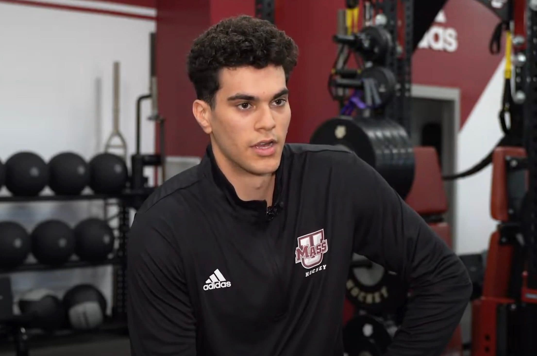 Lightning acquire Hurricanes prospect Lucas Mercuri for draft pick