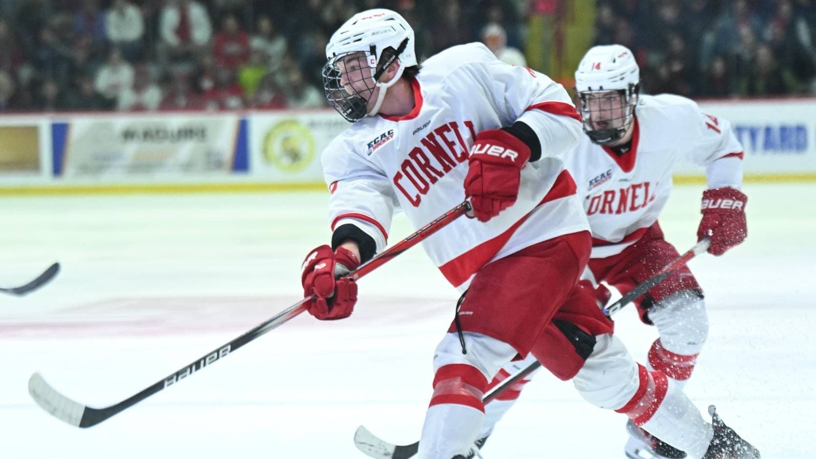 Bruins sign NCAA UFA Dalton Bancroft to one-year, entry-level contract