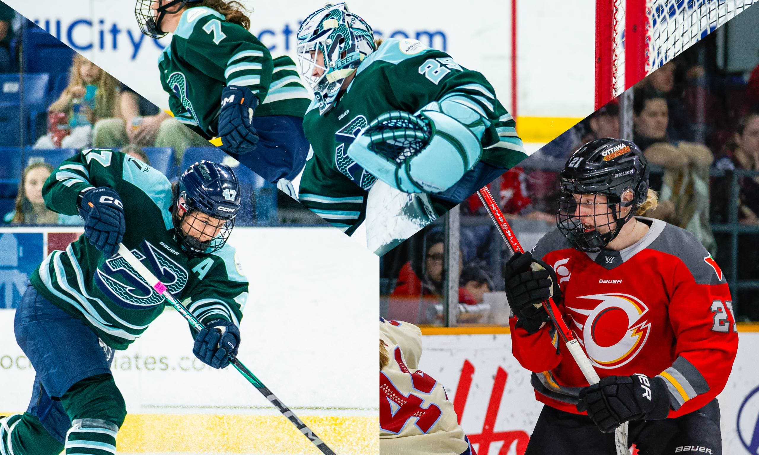 PWHL Players of the Week: Peslarova, Rattray, Bell play key roles in playoff push