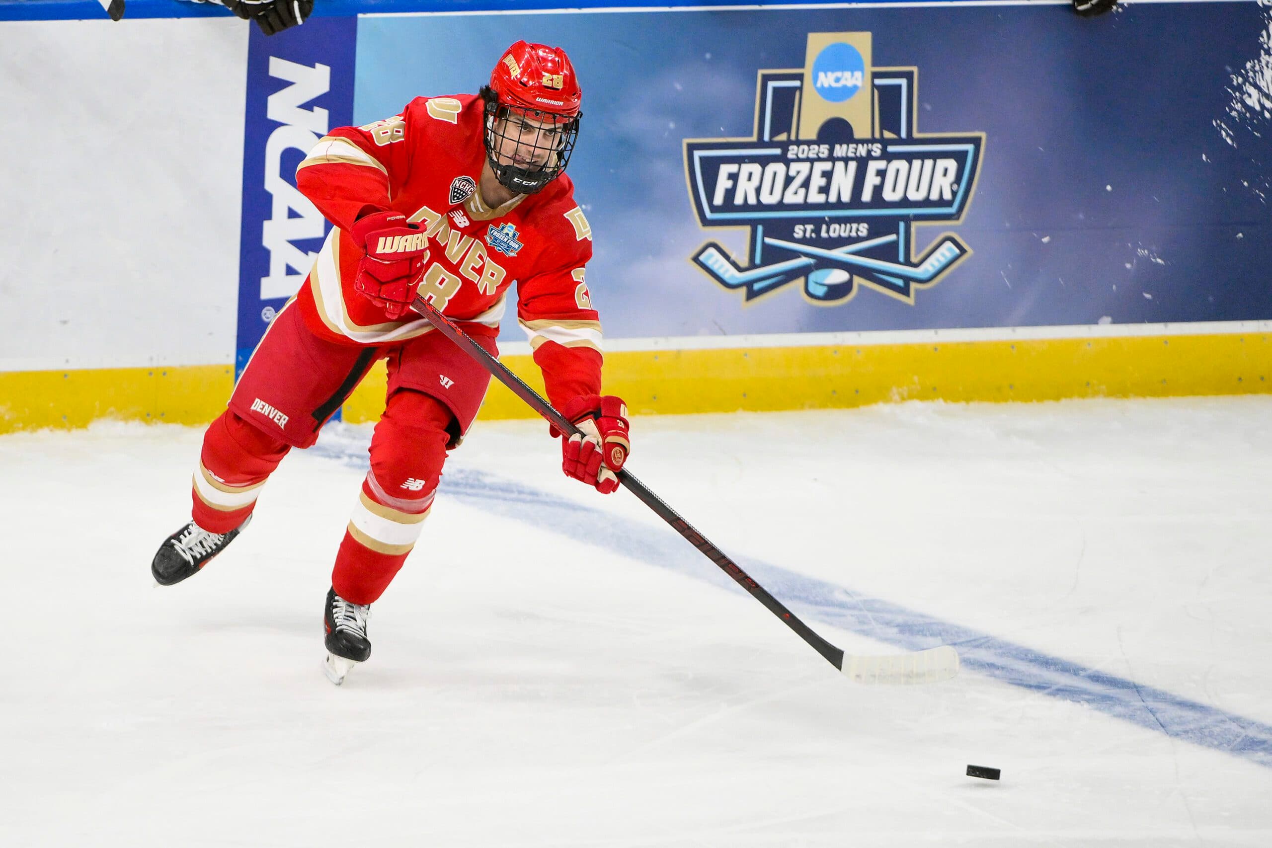 What Zeev Buium brings to the Wild