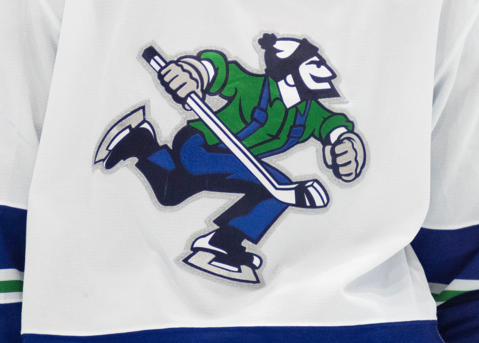 AHL announcer allegedly attacked by fan during game