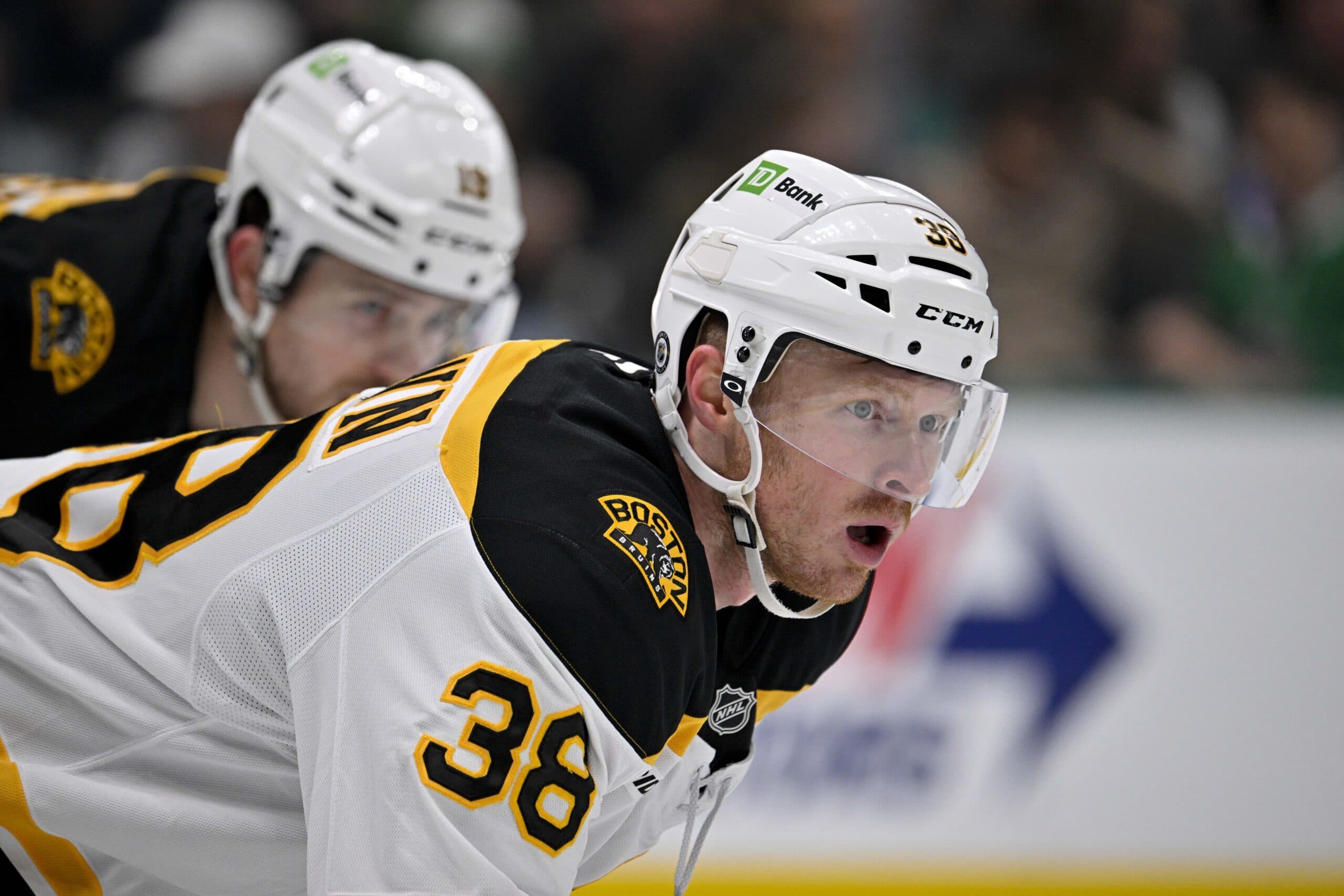 Boston Bruins center Patrick Brown (38) in action during the game between the Dallas Stars and the Boston Bruins at the American Airlines Center.