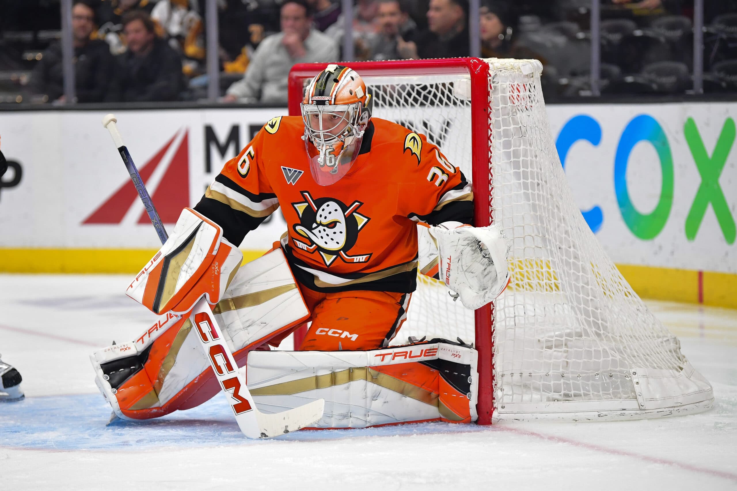 Anaheim Ducks goalie John Gibson