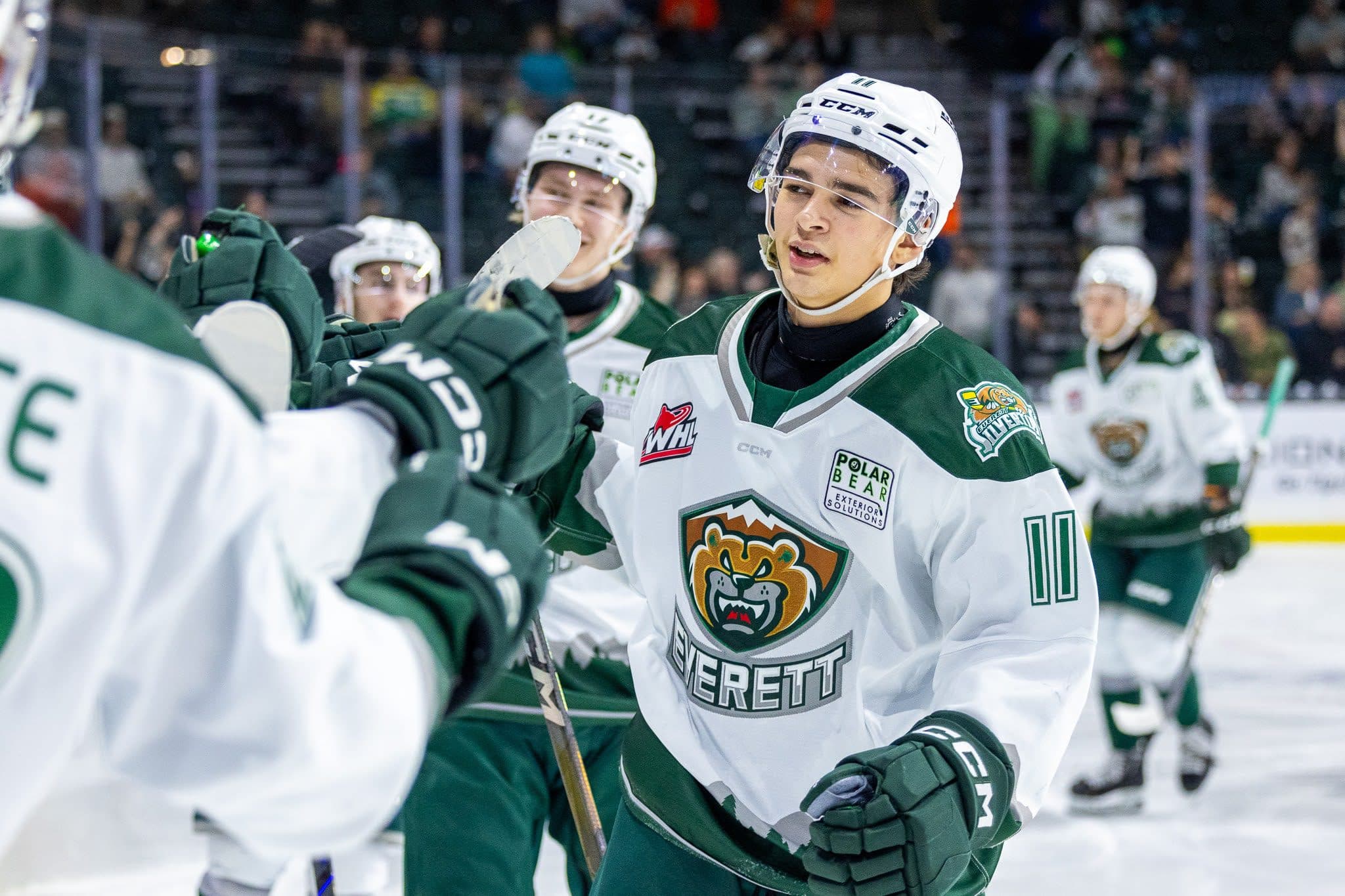Carter Bear (Caroline Anne/Everett Silvertips)