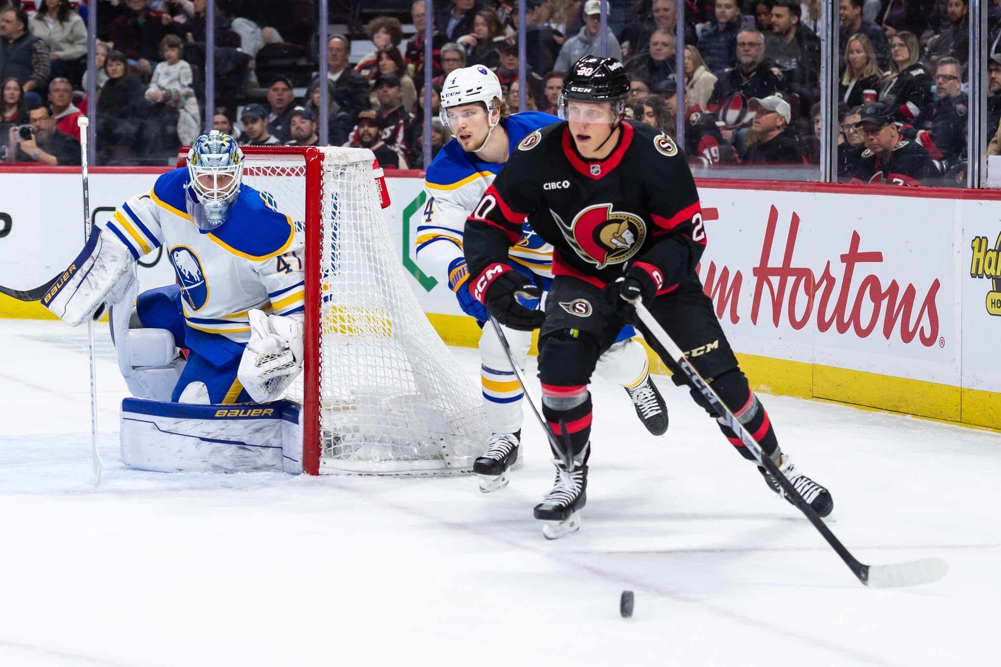 Ottawa Senators Fabian Zetterlund