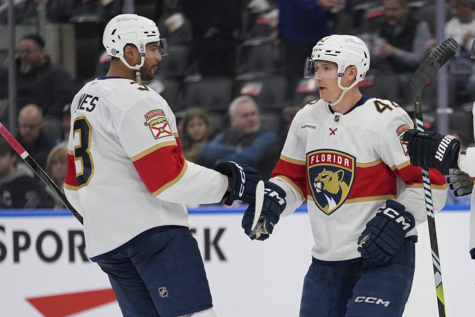 Florida Panthers defenseman Seth Jones (3) congratulates defenseman Gustav Forsling (42) on his goal against the Toronto Maple Leafs during the second period at Scotiabank Arena.