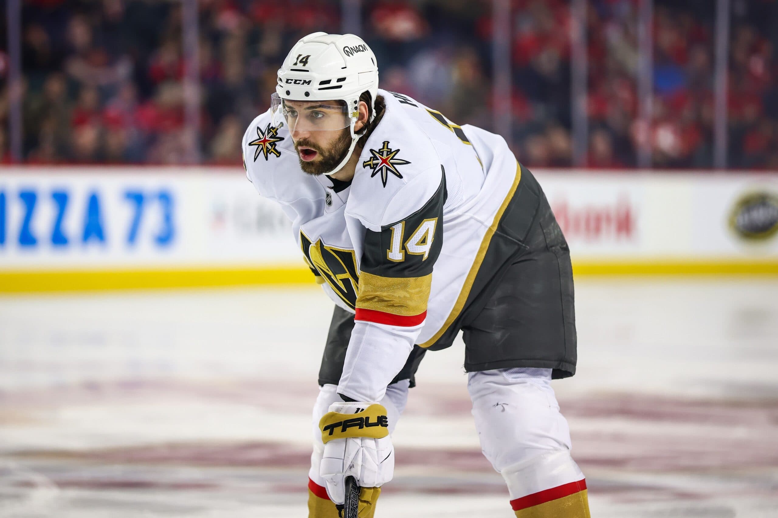Vegas Golden Knights defenseman Nicolas Hague (14) against the Calgary Flames during the first period at Scotiabank Saddledome.