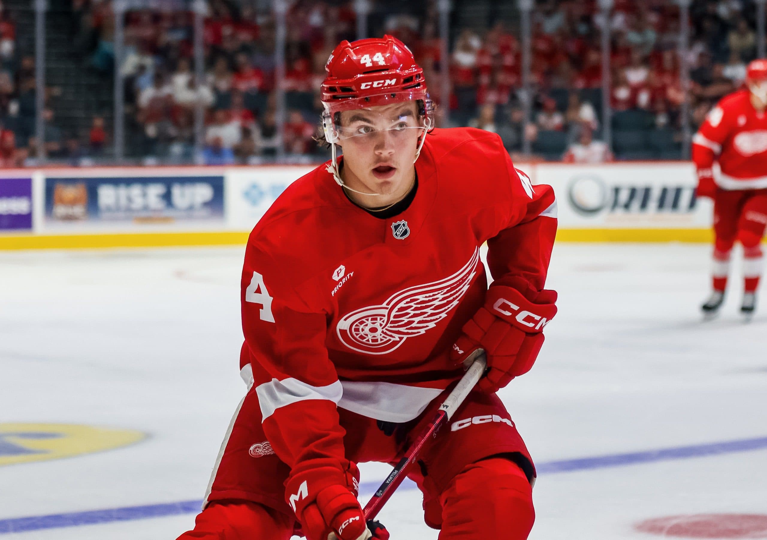 Red Wings building young ‘nucleus’ for a brighter future