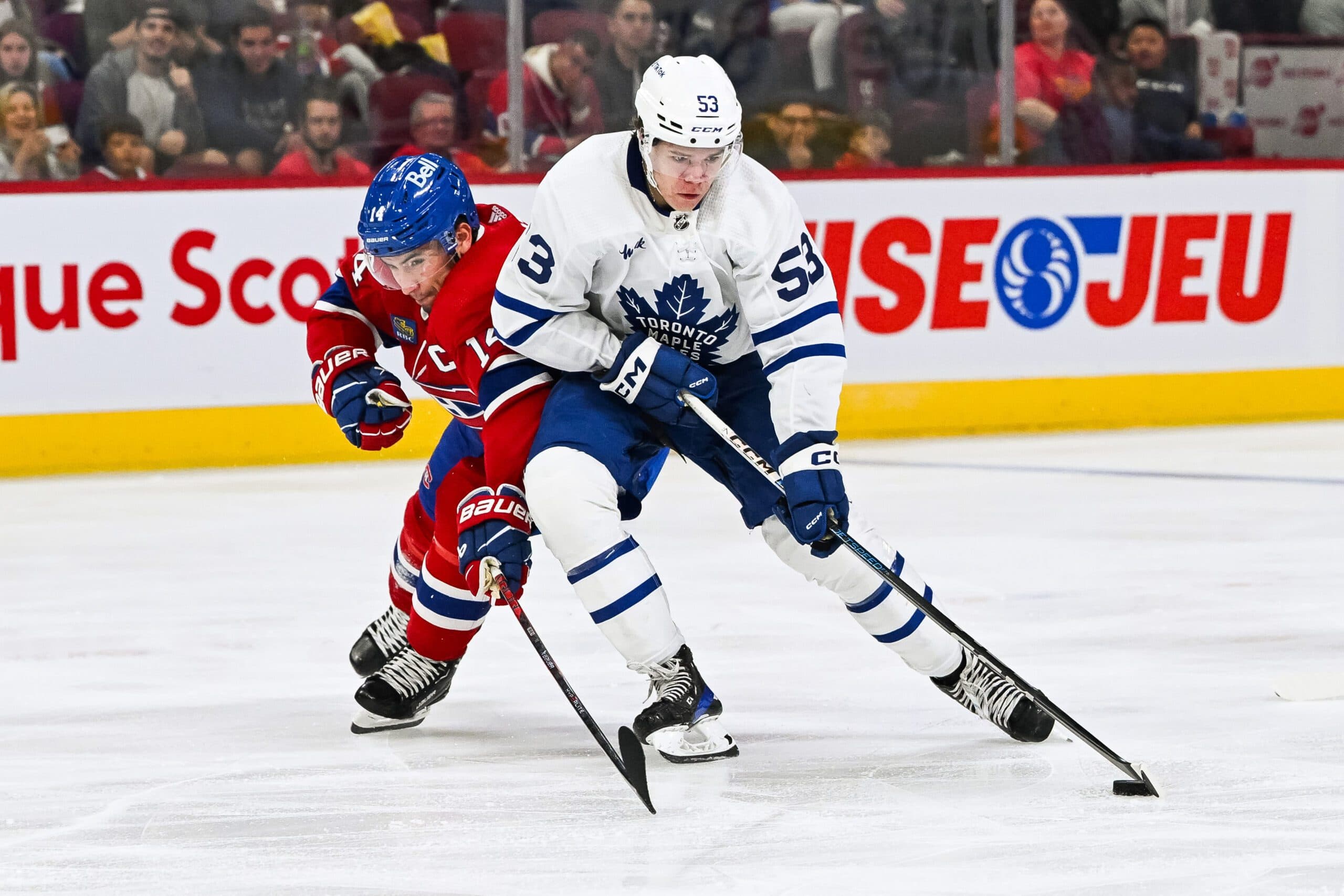 Should Maple Leafs’ Easton Cowan play in the NHL in 2025-26?