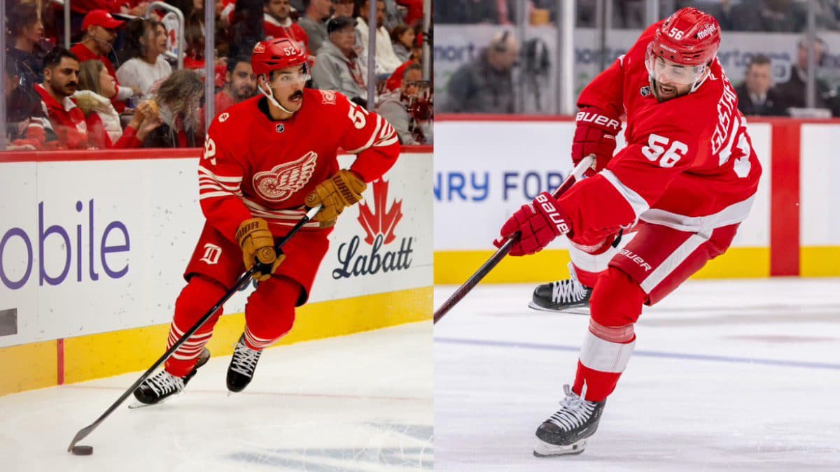 Gustafsson, Hamonic may be on the move as younger players overtake them in Detroit