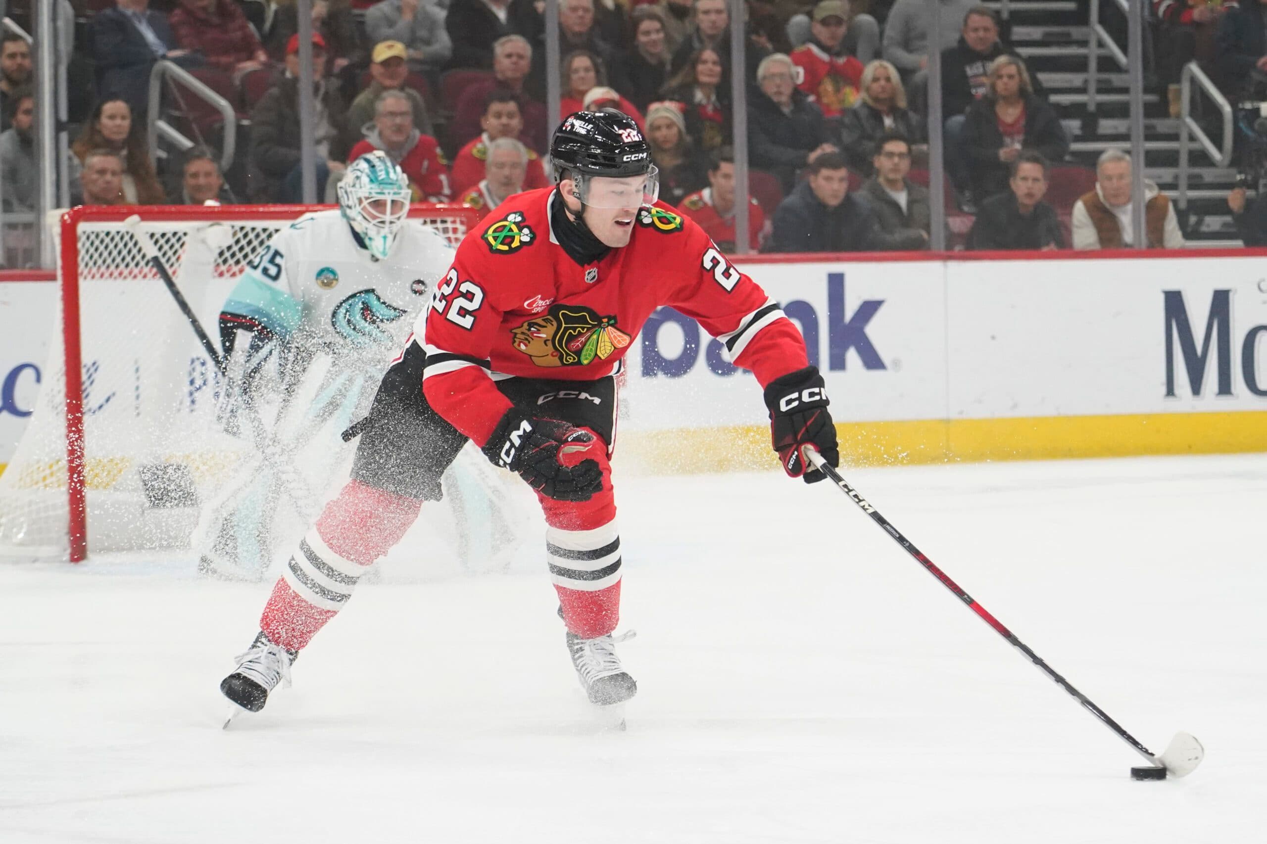 Blackhawks place forward Joey Anderson on waivers