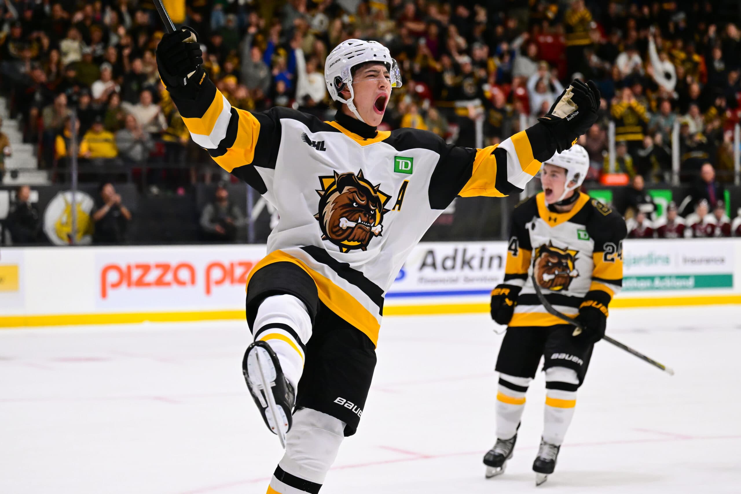 Caleb Malhotra (Brandon Taylor/OHL Images)