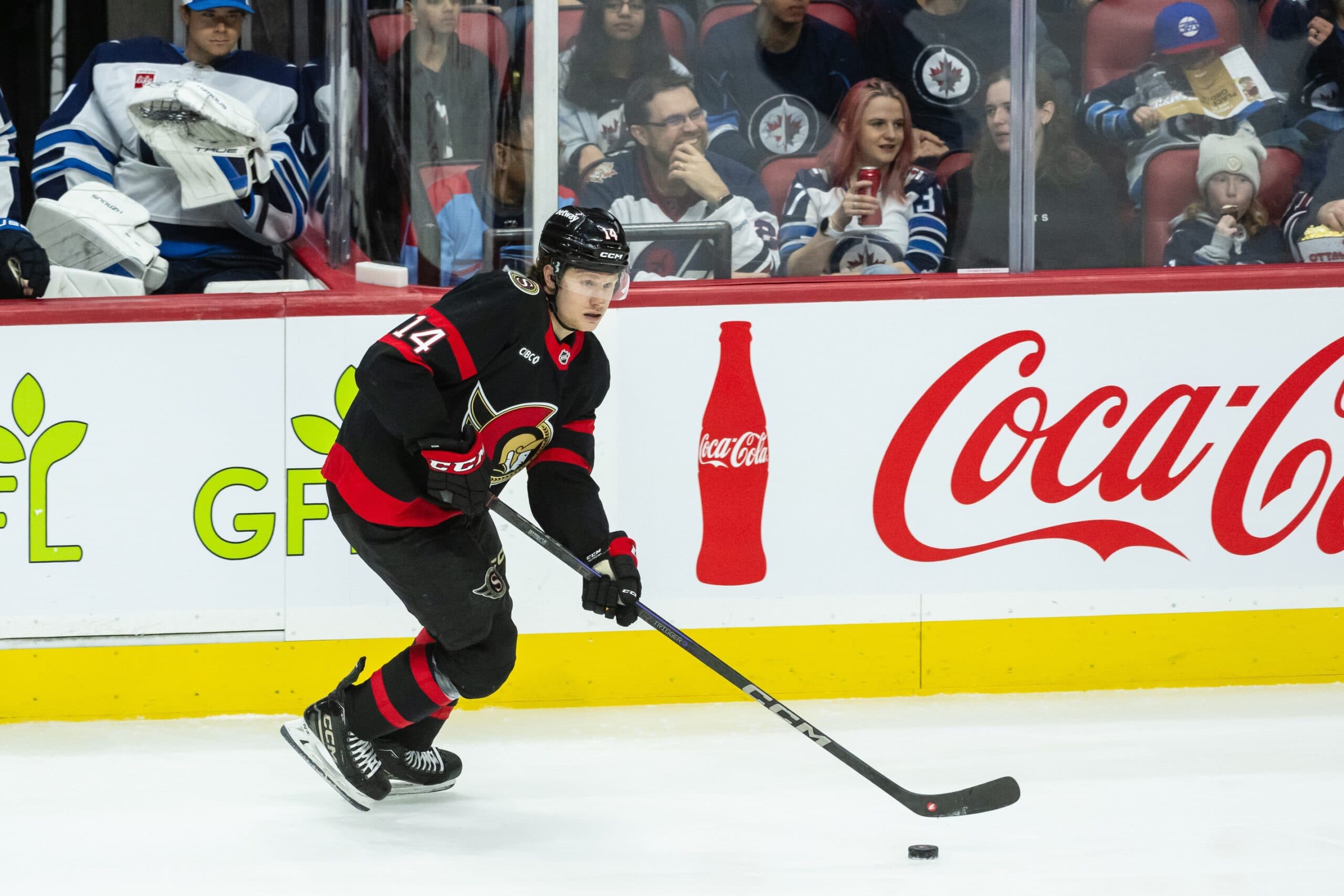 Ottawa Senators center Jan Jenik (14) skates with the puck in the third period against the Winnipeg Jets at the Canadian Tire Centre.