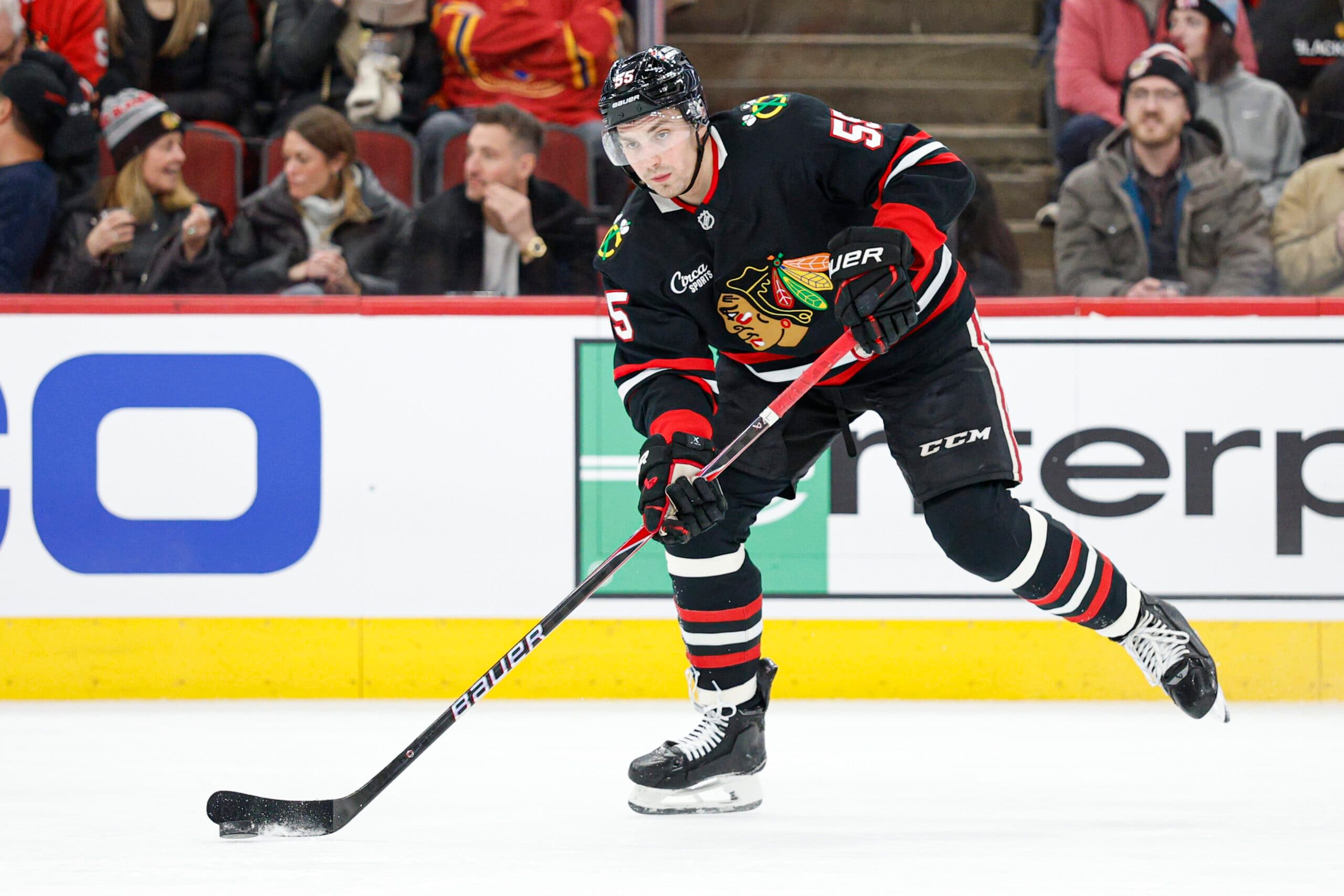 Levshunov finishes with two goals and 22 assists in his first full-time NHL season.