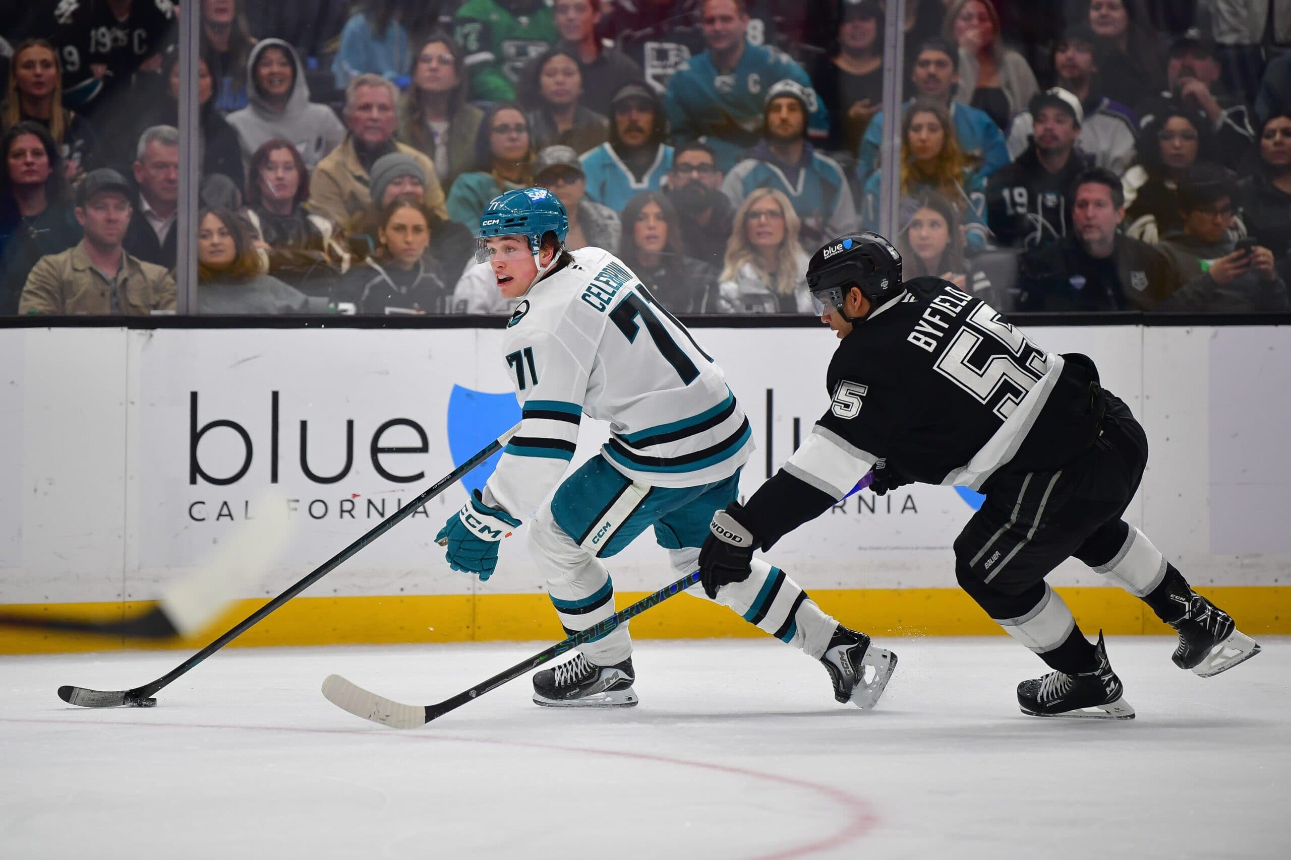 Sharks, Kings take big steps in West playoff race