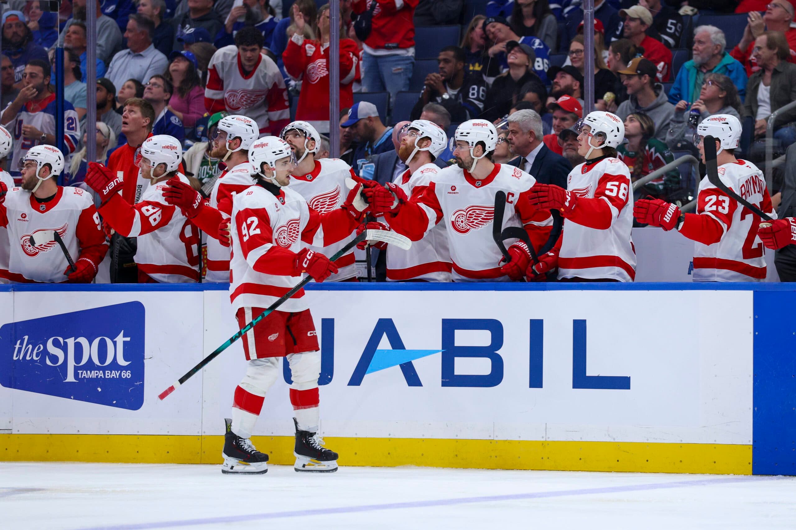 What is a dream offseason for the Red Wings?